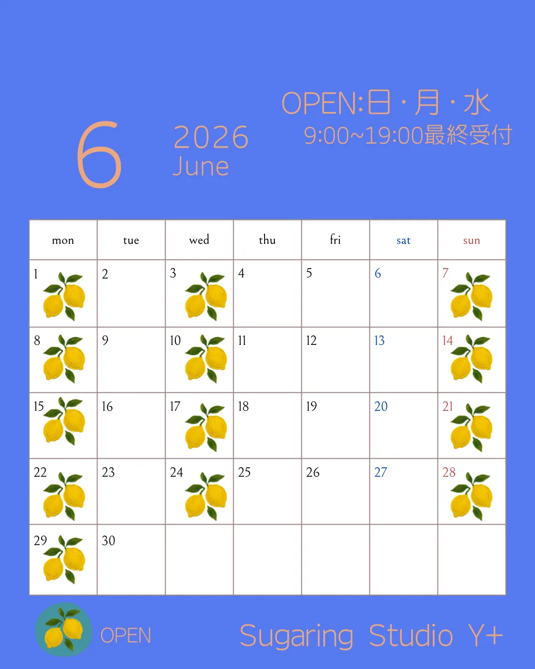 6月スケジュール🗓️