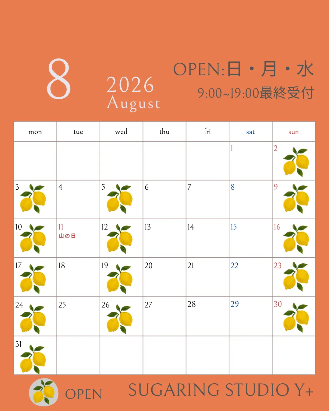 8月のスケジュール🌻🌻